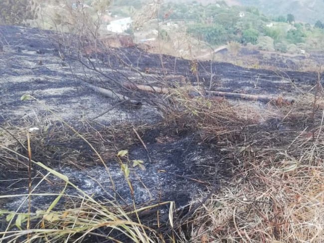 Imagen de referencia.