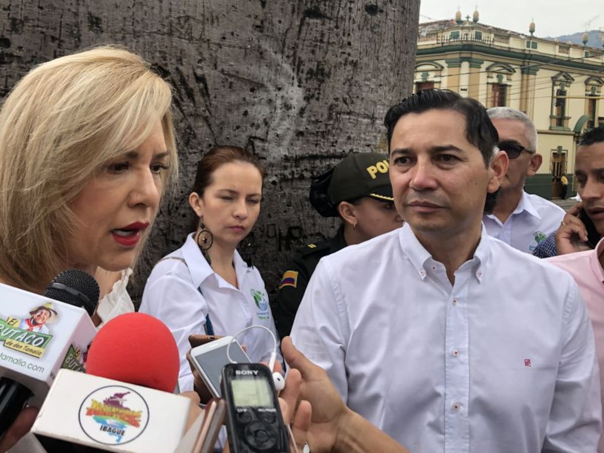 Cortolima lanza plan de identificación de árboles