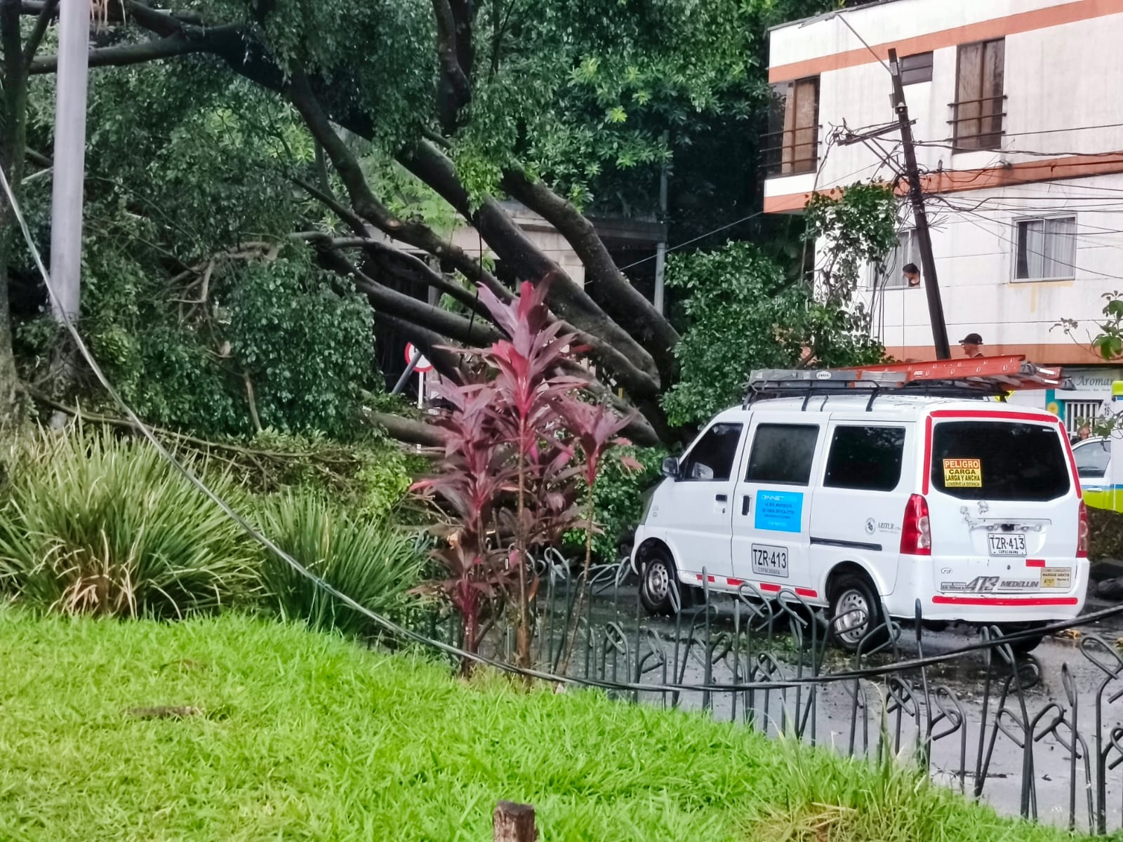 Caída de árboles en Guayabal- foto cortesía