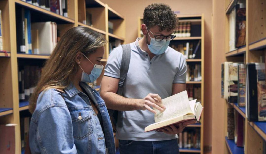 Imagen de referencia