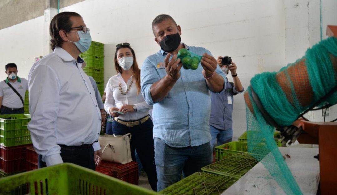 Créditos agropecuarios