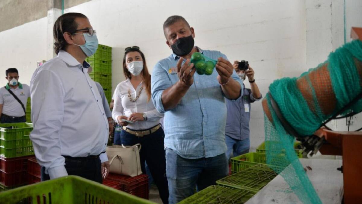 El agro caldense tendrá 10.000 millones de pesos para créditos