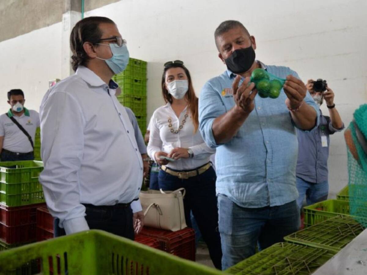 El agro caldense tendrá 10.000 millones de pesos para créditos
