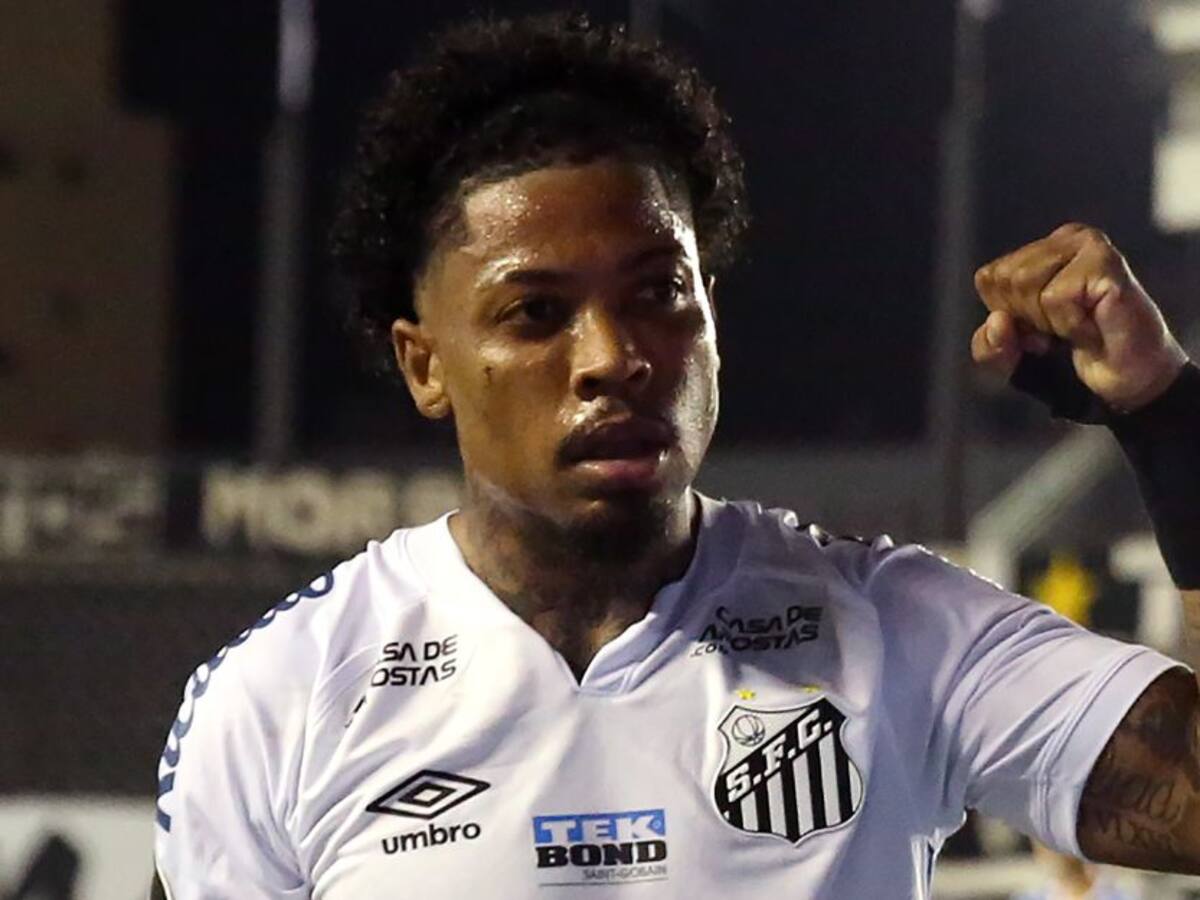 Marinho, nuevo Rey de América; Borré, en el once ideal