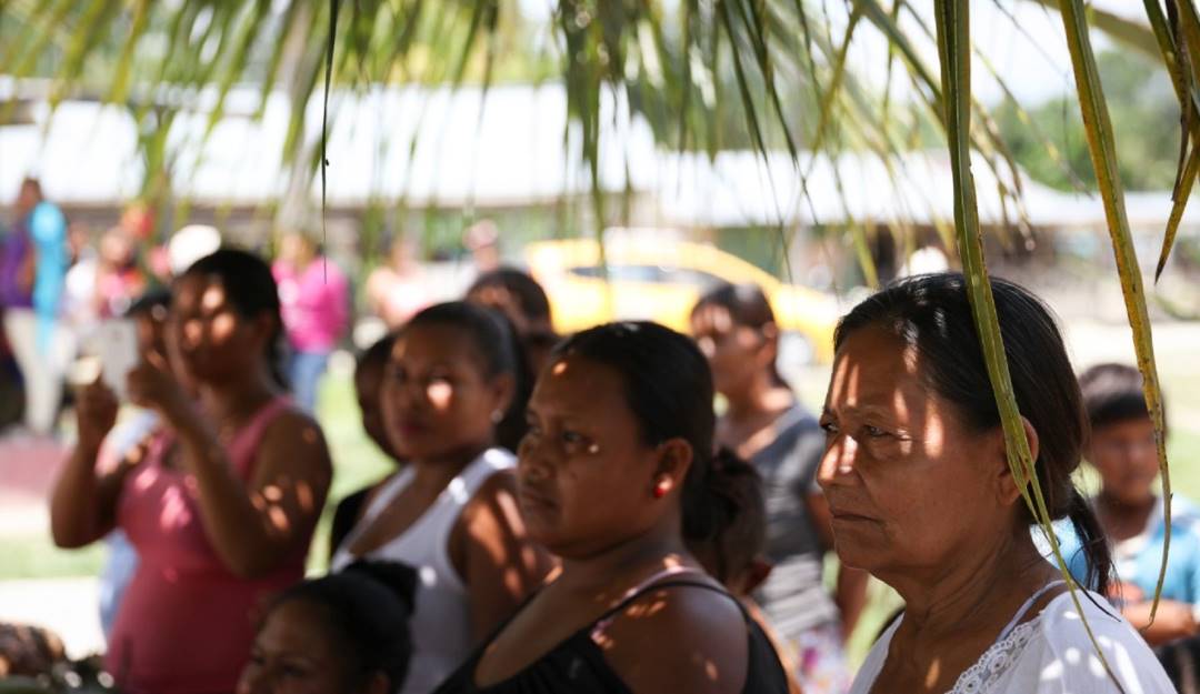 Inicia construcción de hoja de ruta para protección de la Amazonía. Foto: Colprensa. 