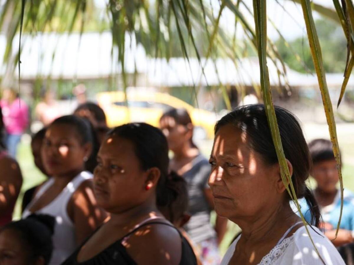 Ciudadanos ayudarán a construir la hoja de ruta para proteger la Amazonía
