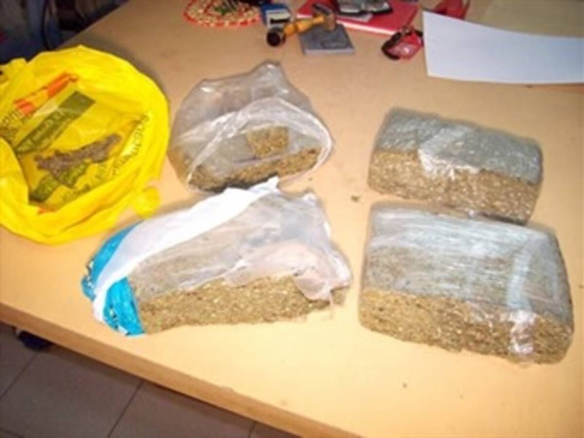 EE.UU. decomisa cocaína y marihuana por 16 millones de dólares cerca a Colombia