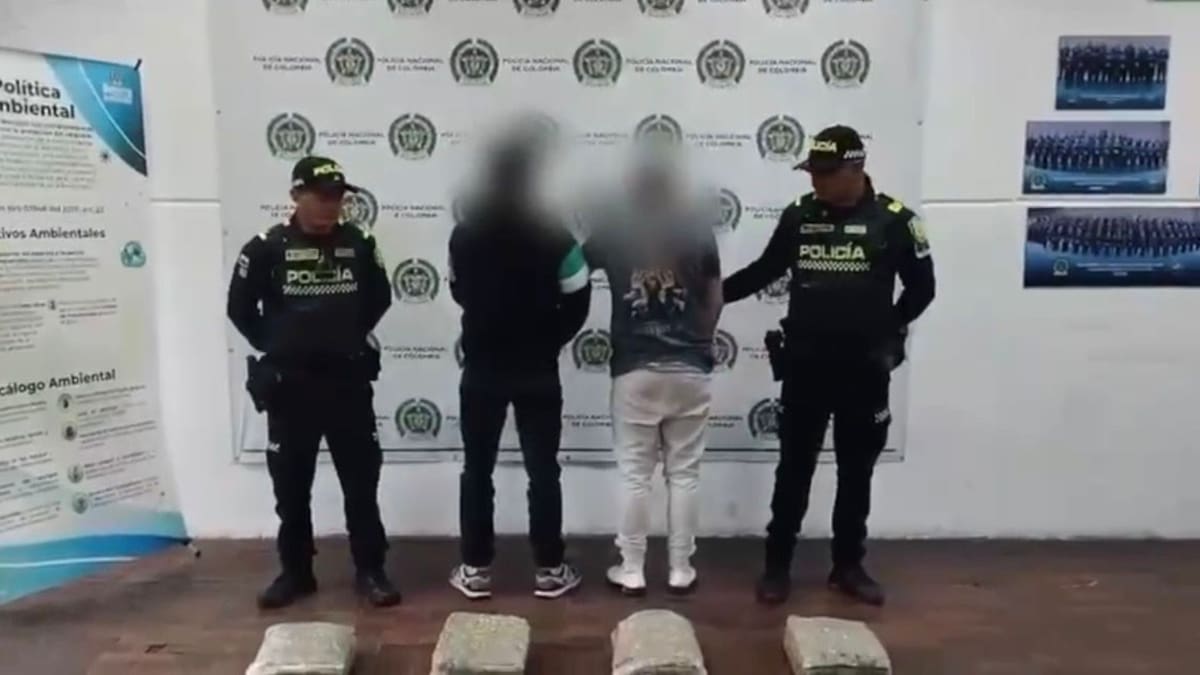 Delincuentes trataron de engañar a las autoridades con cédulas falsas y 30 kilos de marihuana