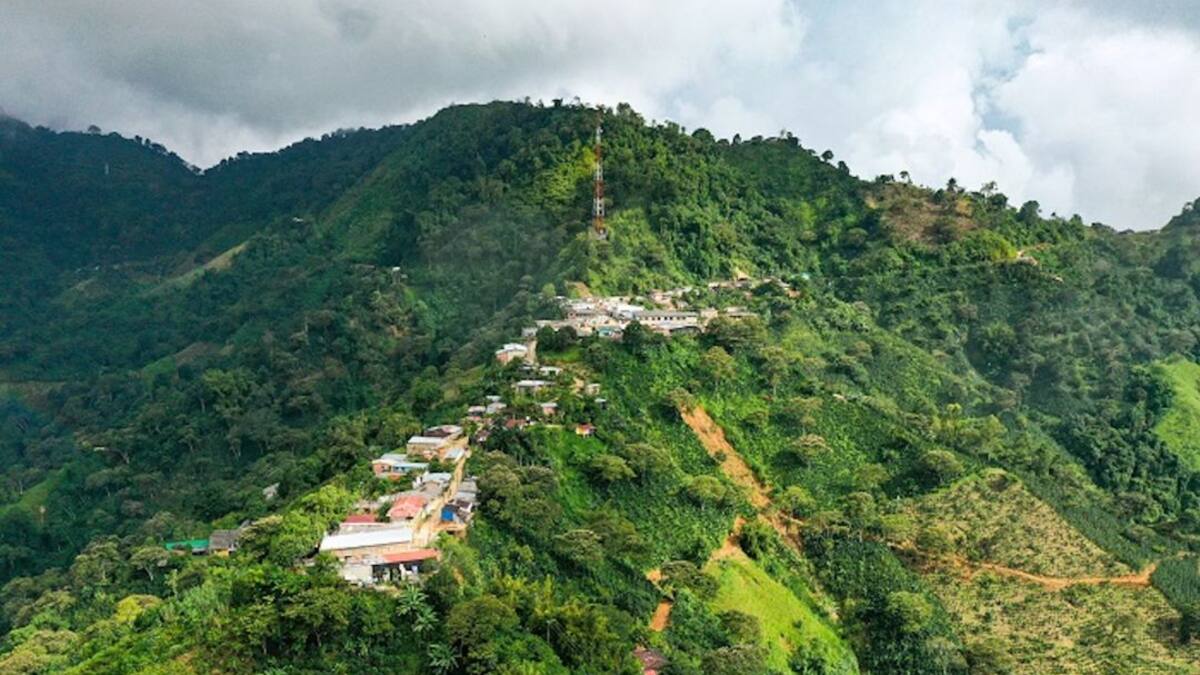 Proyecto de placa huella ayudará a campesinos de la Sierra en Ciénaga