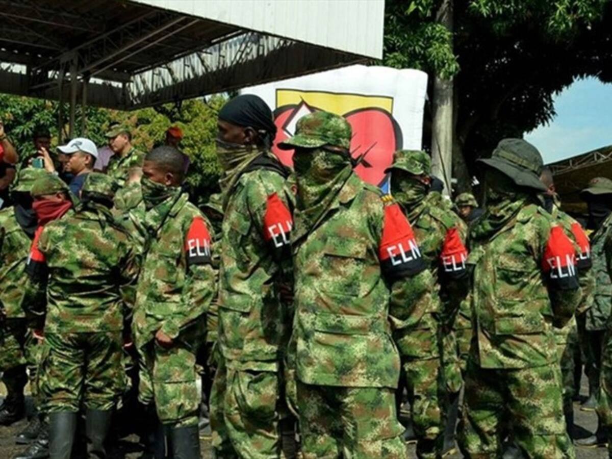 Comando central del Eln está en Venezuela: Fuerzas Militares