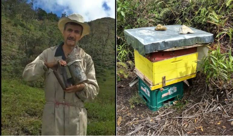 Fotos suministradas por Luis Emilio Ospina, apicultor