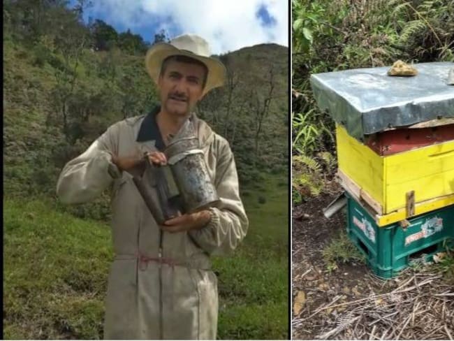 Fotos suministradas por Luis Emilio Ospina, apicultor