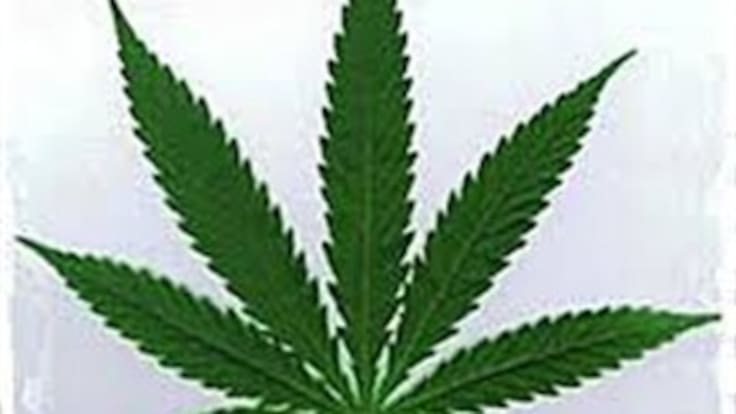 Legalización de la marihuana: Mito o Tabú