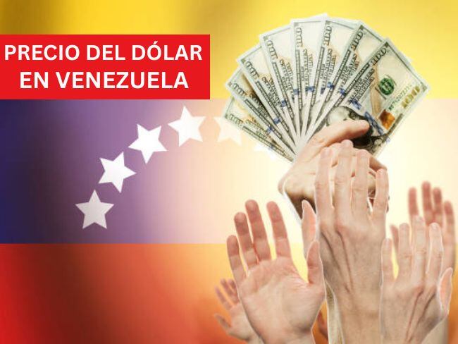 Precio del dólar en Venezuela para este 28 de noviembre Foto: Getty Images