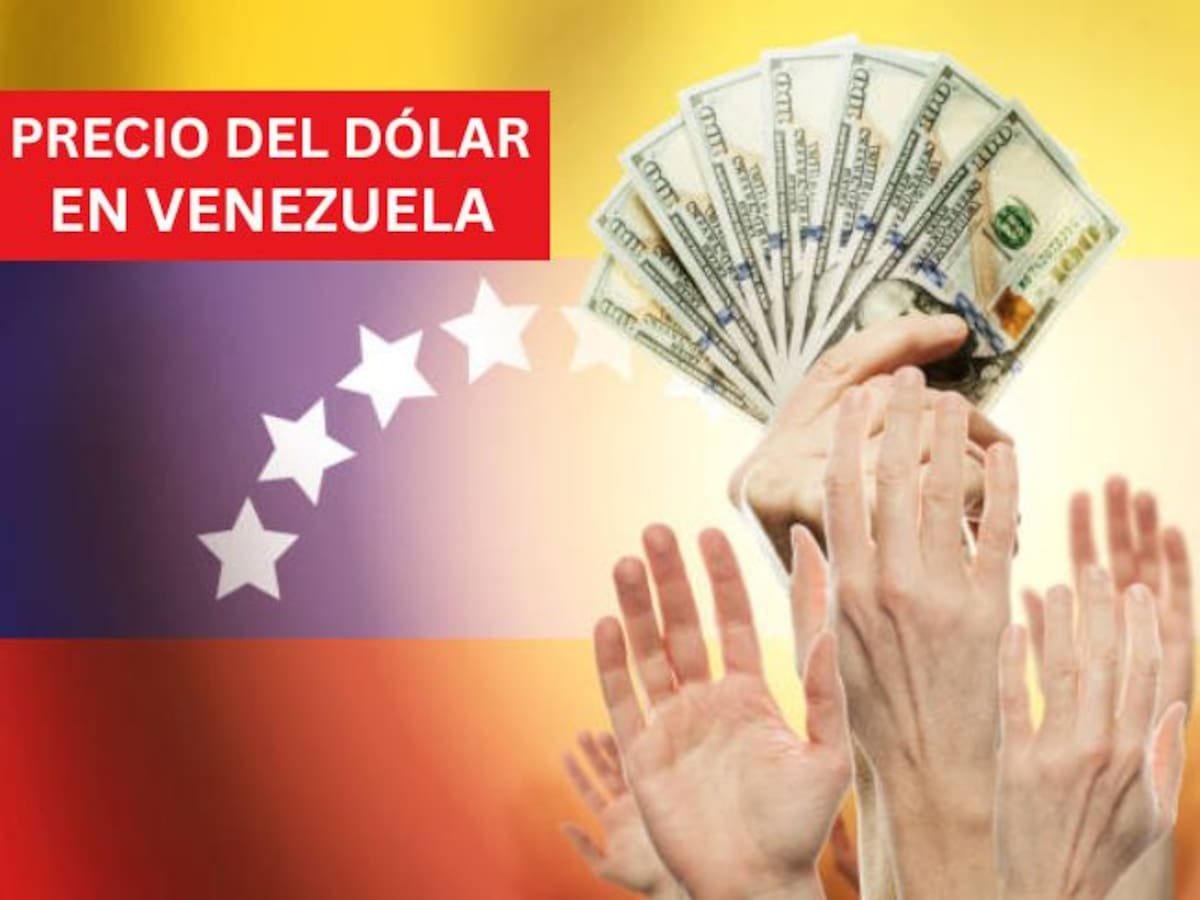 Precio del dólar en Venezuela HOY 28 de noviembre: así cierra la semana, según el BCV