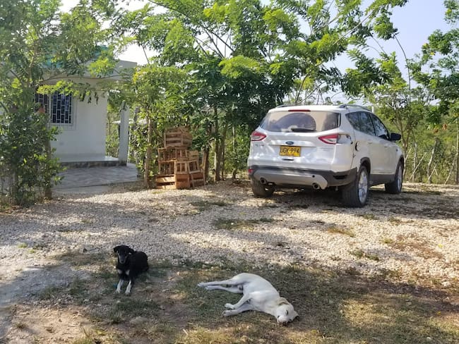 Vehículo “inmovilizado” en Cartagena aparece rodando y con fotomultas en Bogotá