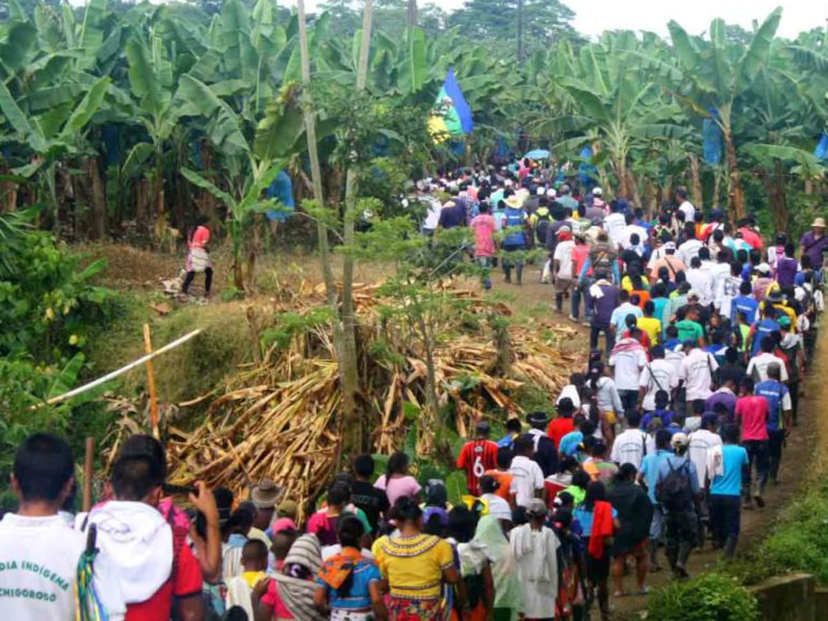 Defensoría denuncia confinamiento y desplazamiento forzado de Chocó