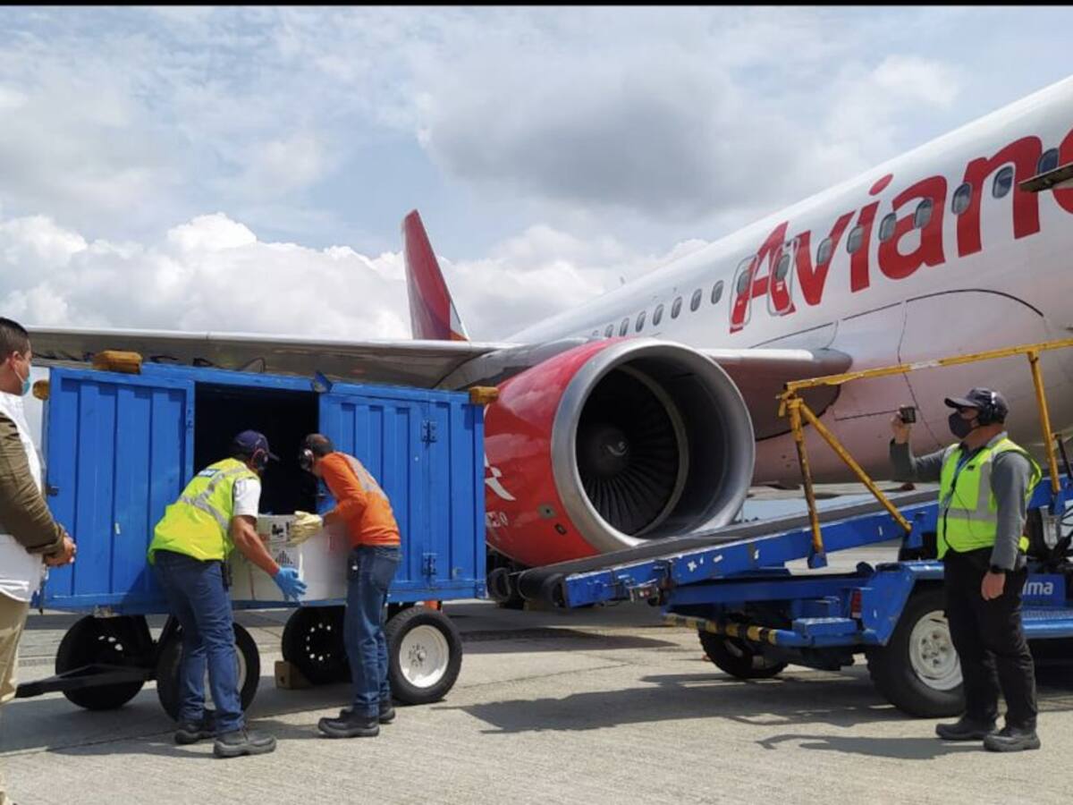 Ya llegaron las primeras dosis de la vacuna contra el COVID-19 a Antioquia