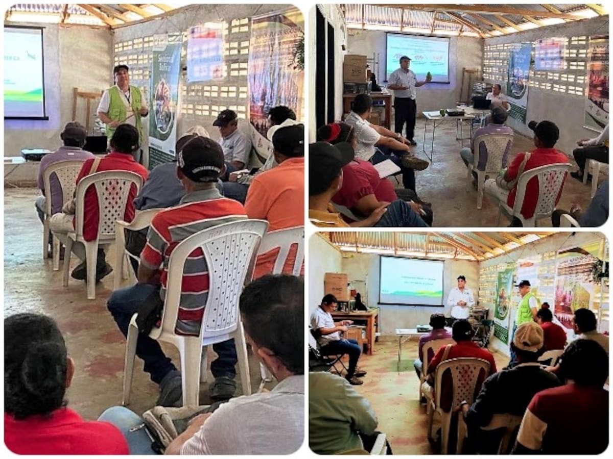 El ICA orientó a productoras de Aguacate de El Carmen de Bolívar
