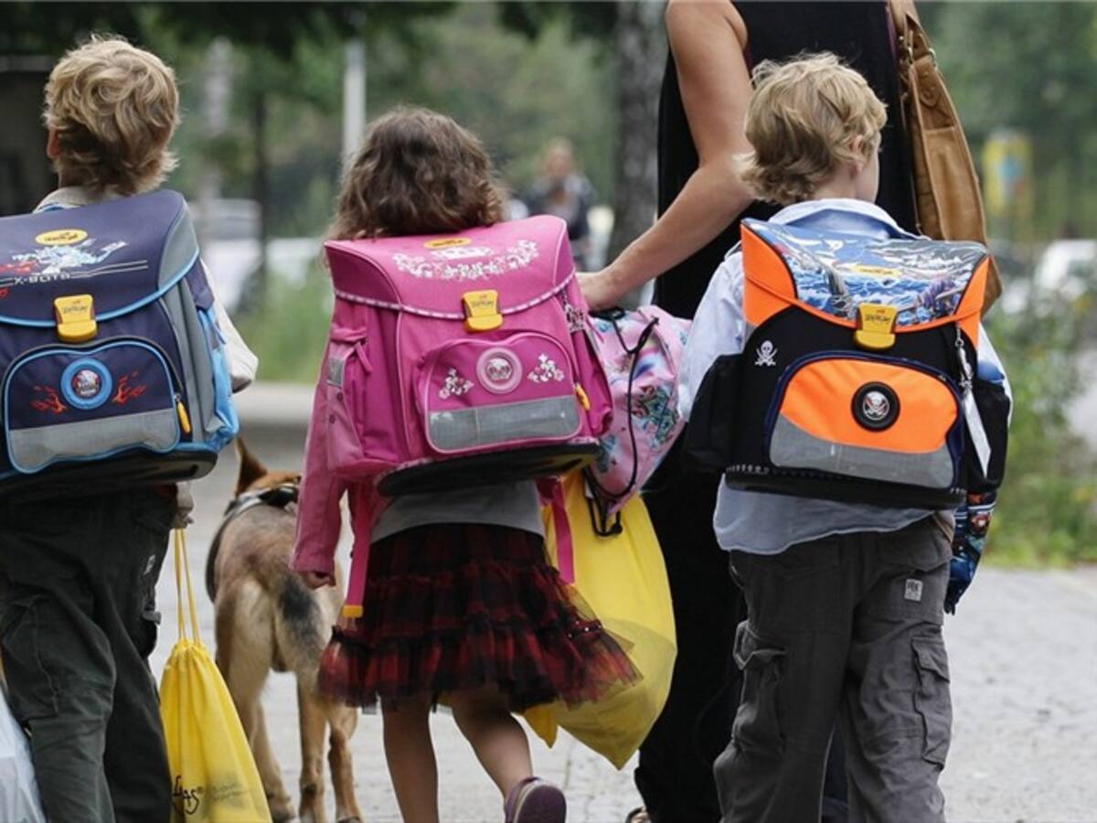Diferentes secretarios de educación departamentales defienden la colegiatura pública