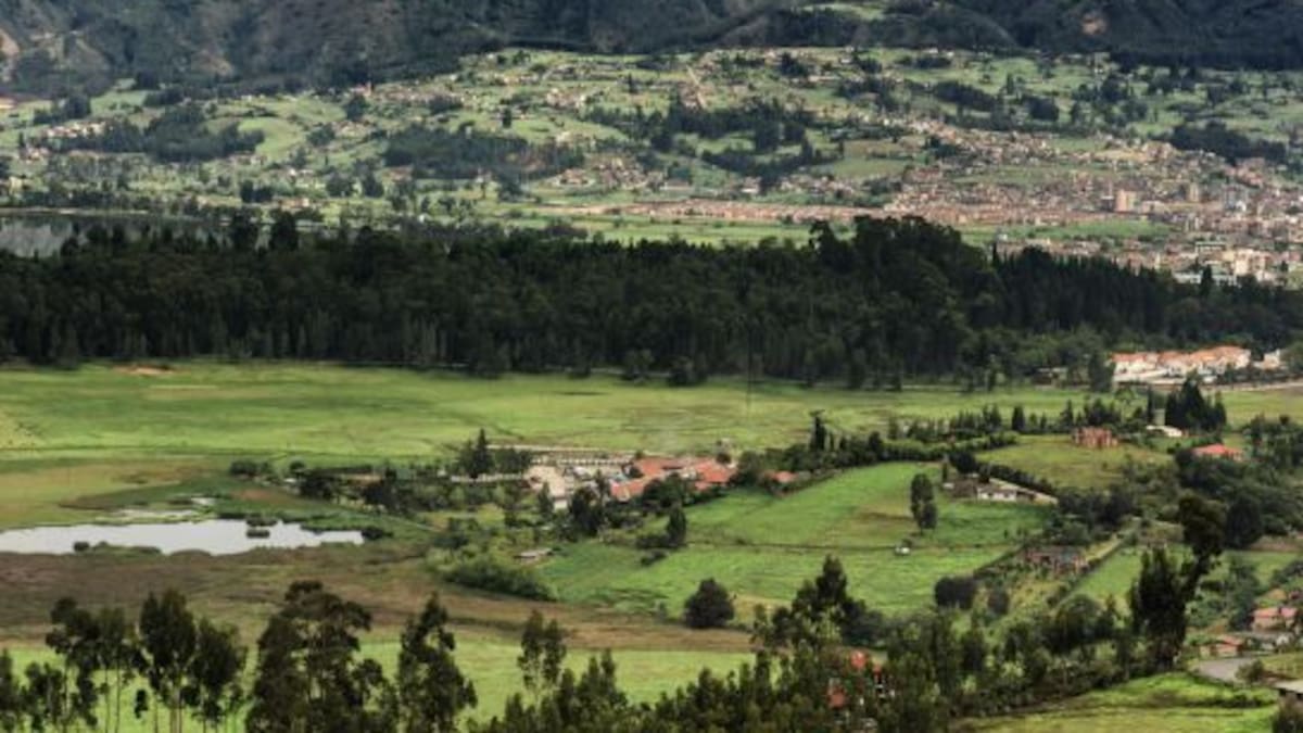 Implementan el programa Siembra en Boyacá