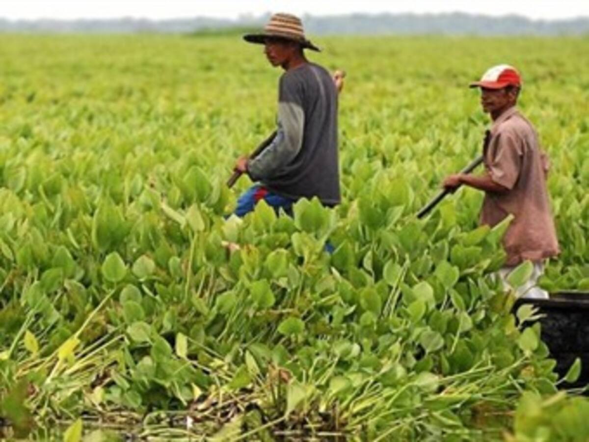 Piden garantizar la seguridad de lideres de restitución de tierras en Antioquia