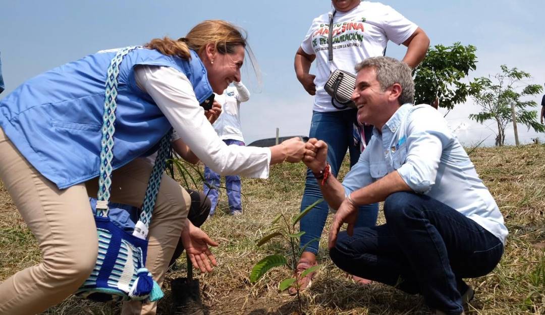 Siembra de árboles en la Amazonía. Foto: Cortesía MinAmbiente. 