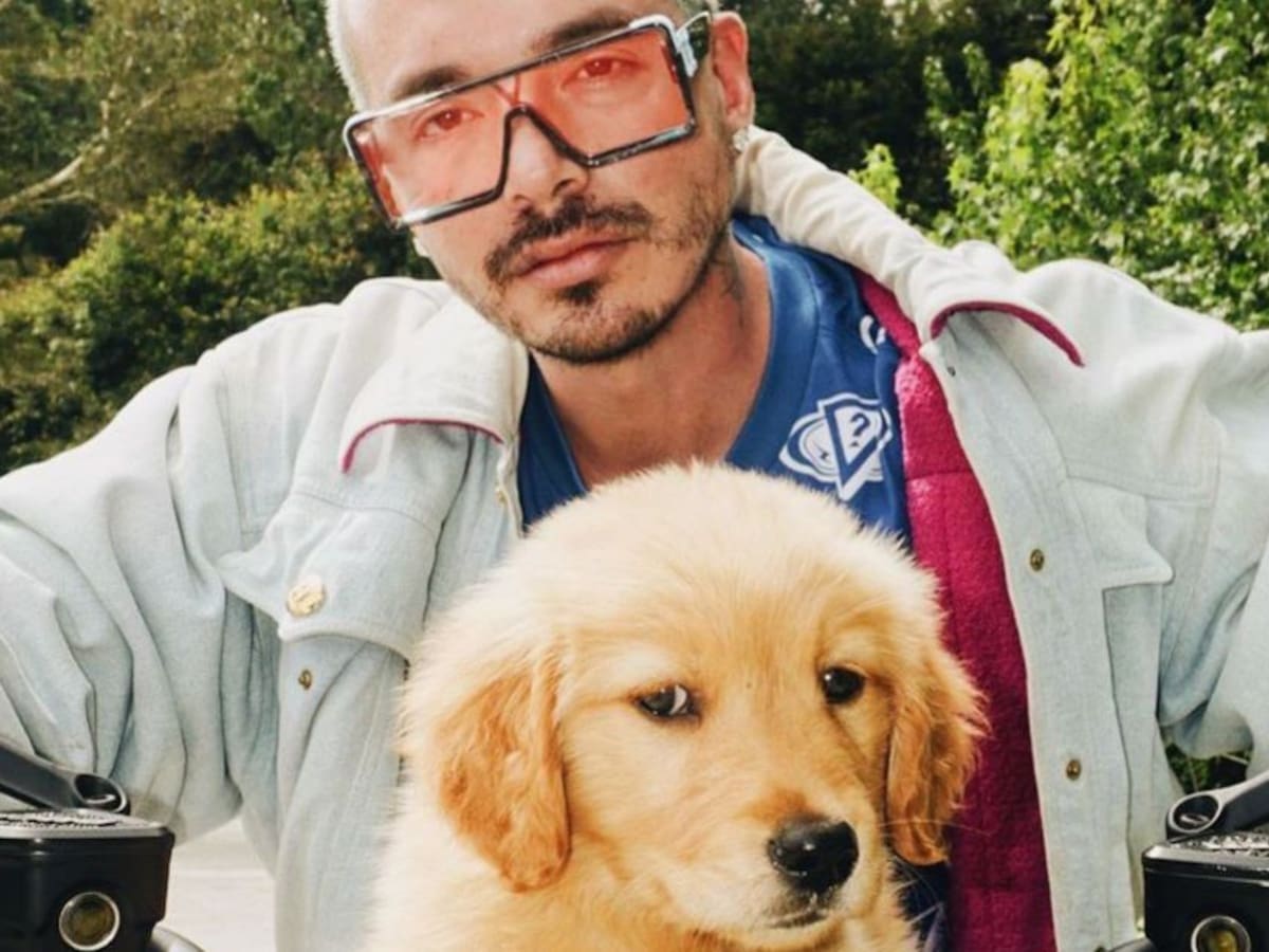 ¡Todas unas celebridades!: estos son los perros de los famosos