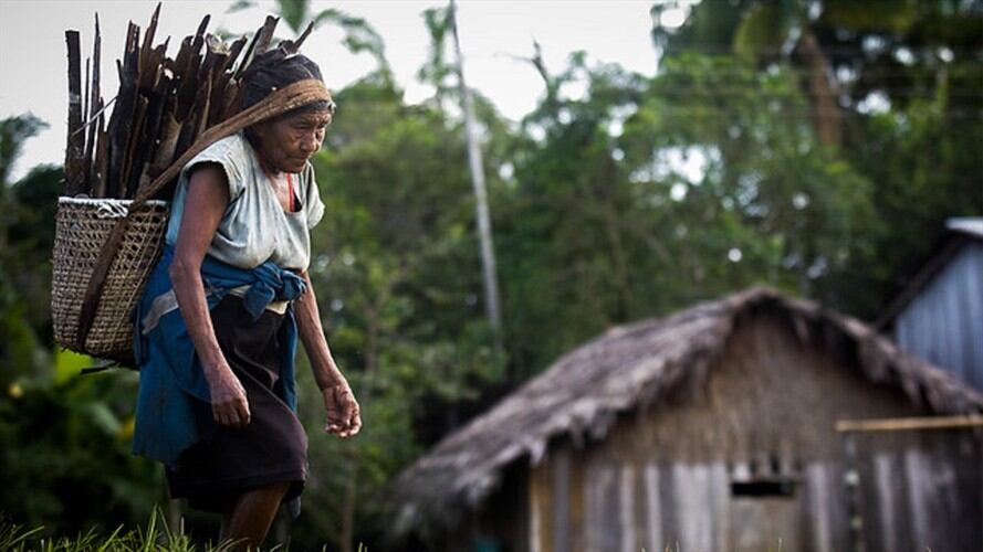 Corte ordena adopción de medidas especiales para atender problemas de salud en el Vaupés. Foto: Colprensa