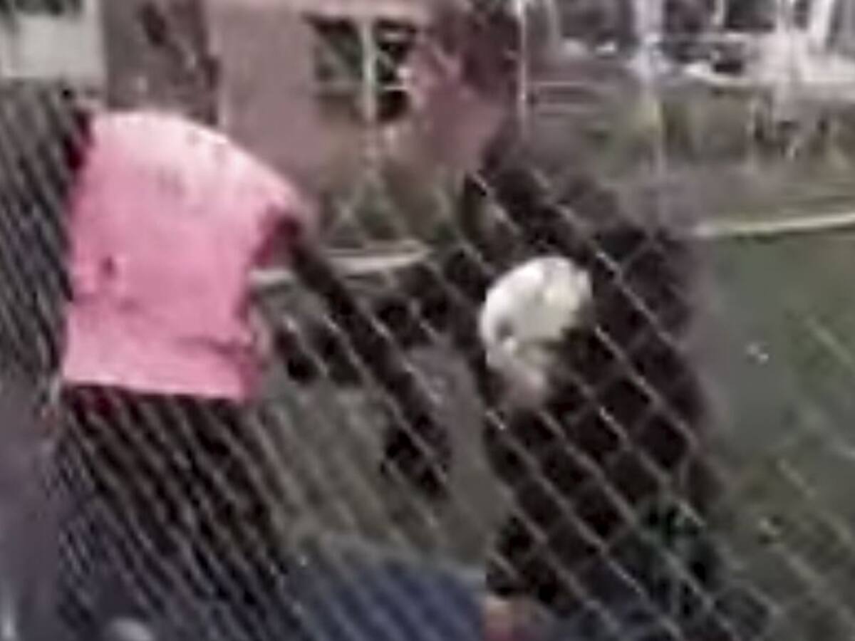 Video: "Dejamos de darle de comer a nuestras familias por ir a un estadio"