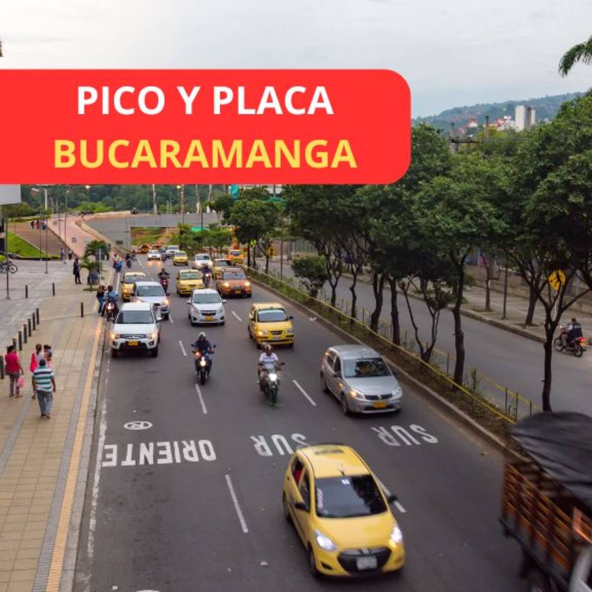 Así funcionará la nueva rotación del pico y placa en Bucaramanga: fecha y multas