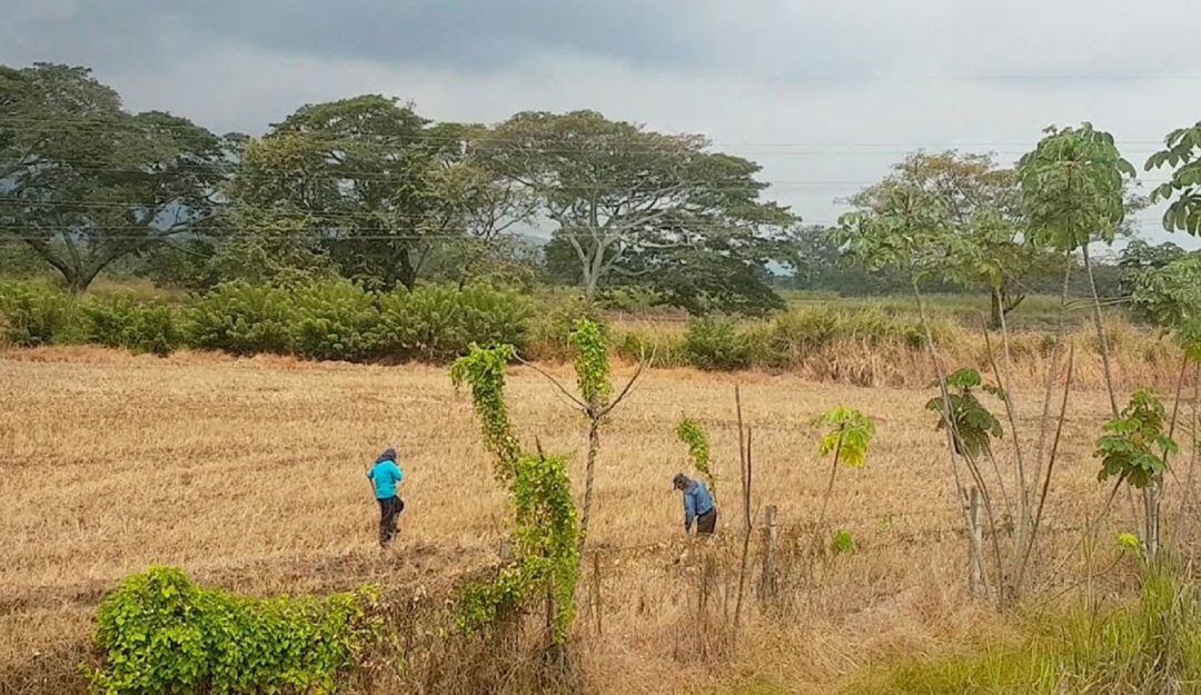 Según el líder de los arroceros; el proyecto ya contaba con la viabilidad necesaria y había superado todas las instancias legales.