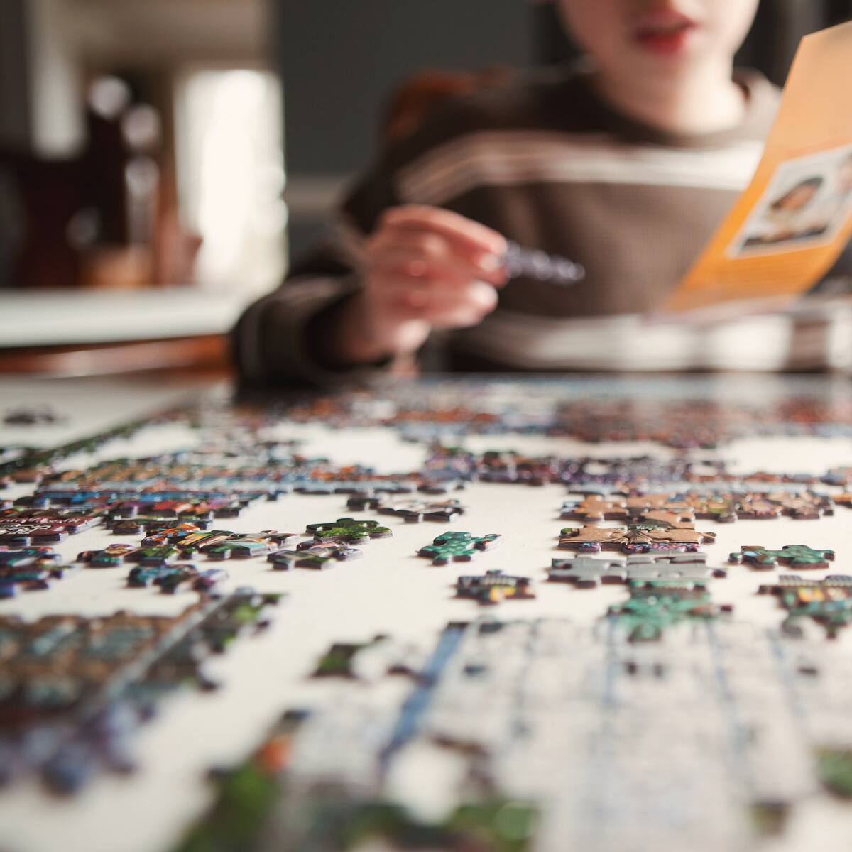 Día Mundial del Rompecabezas: ¿por qué se celebra cada 29 de enero?