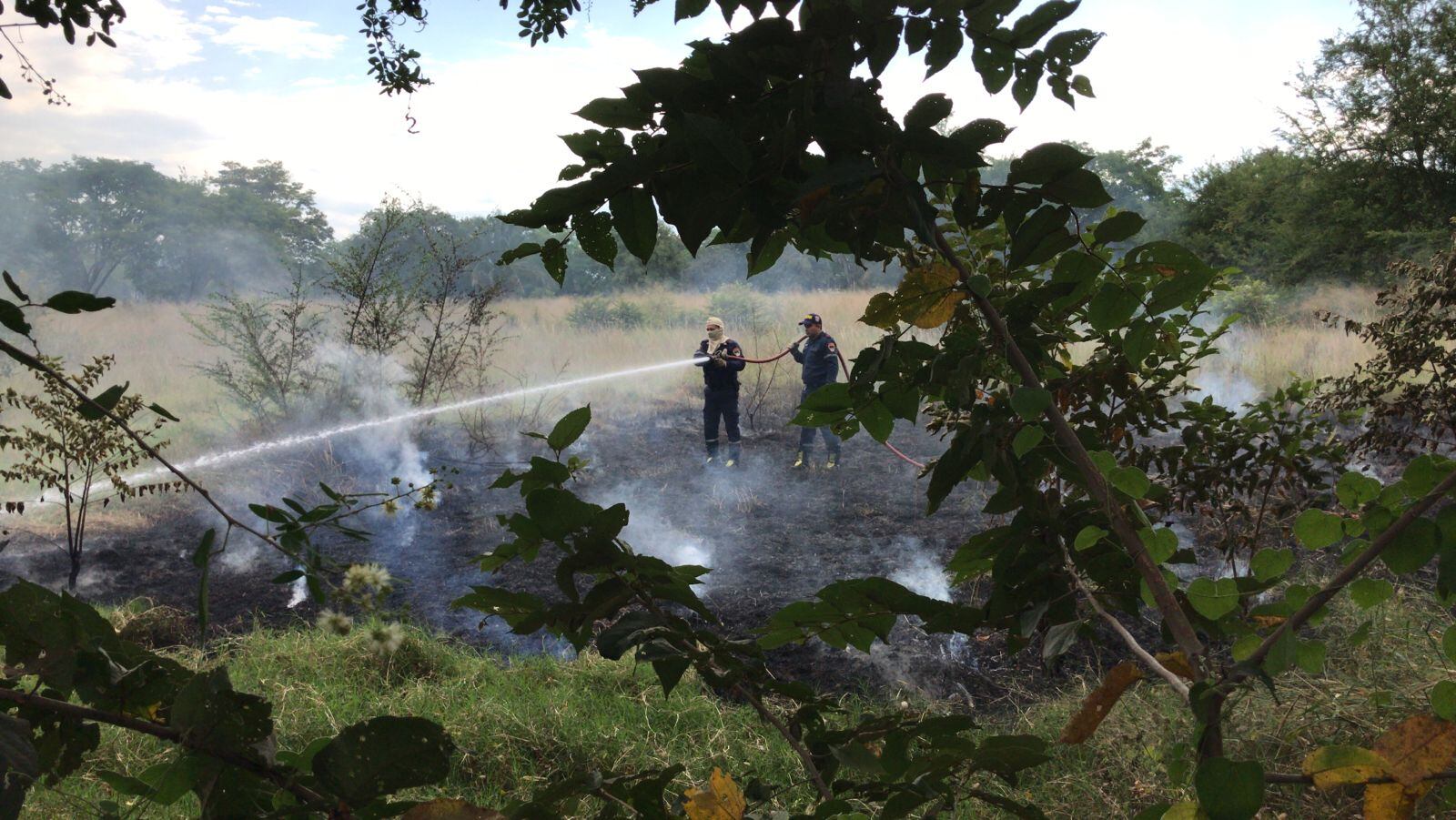 Desde la máxima autoridad ambiental del Huila se informó además de los bosques y las coberturas vegetales, que presentarán bajo nivel de humedad, generando más condiciones que favorecen la ocurrencia de incendios forestales.