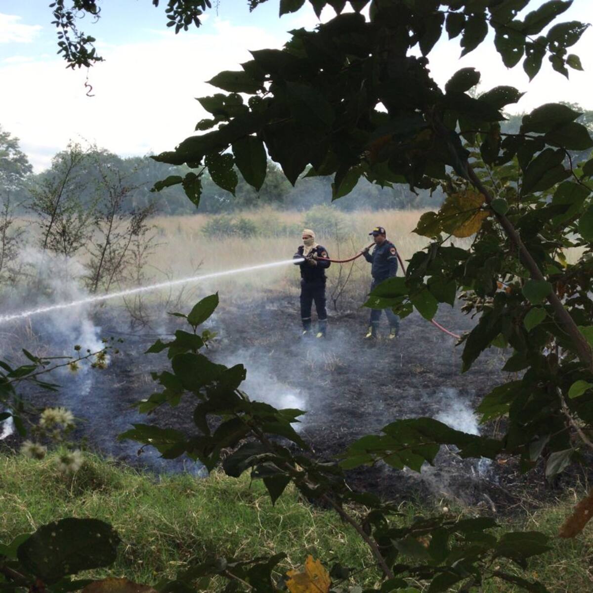 13 municipios del Atlántico y Barranquilla bajo alerta roja por probabilidad de incendios forestales