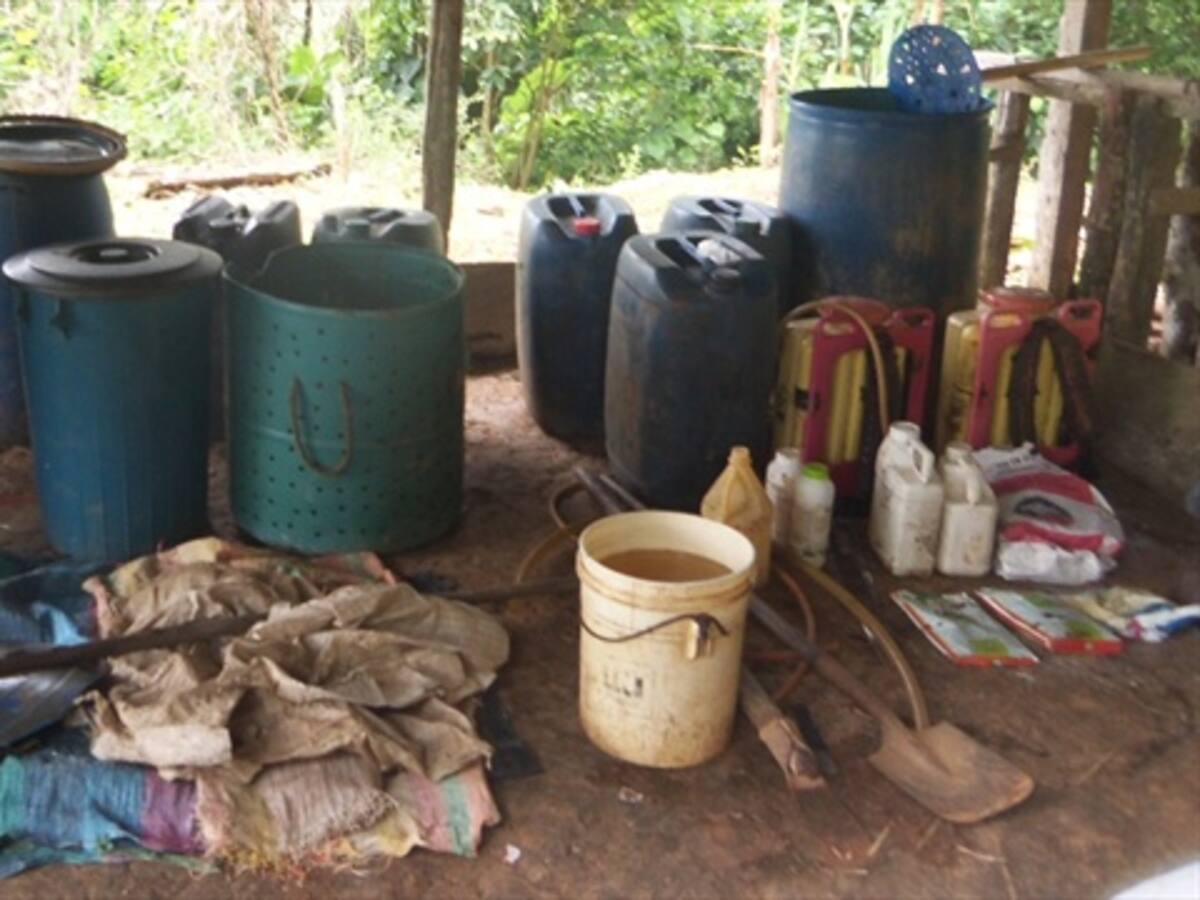 Capturado guerrillero de las Farc con $25 millones en coca, en Antioquia