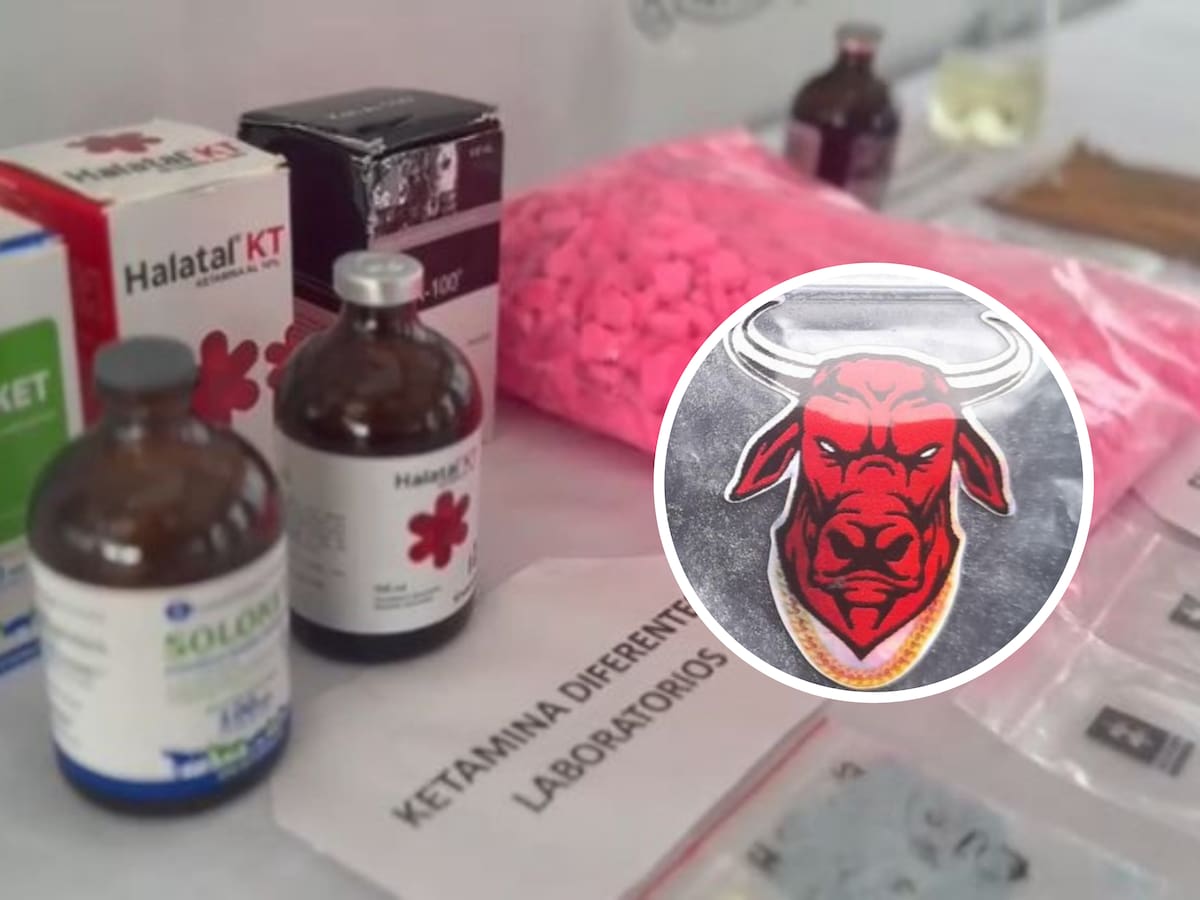 Guerra por el control del Tucibí deja más de 100 muertos en el área metropolitana de Pereira