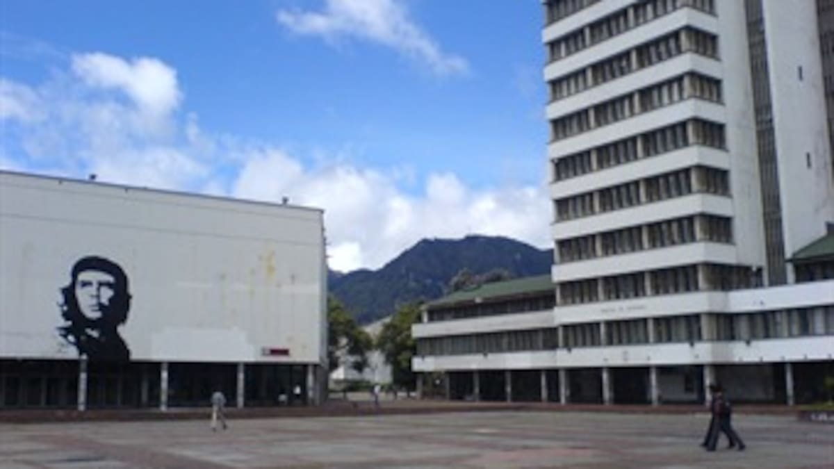 Universidad Nacional sobresale en ranking internacional por su compromiso verde