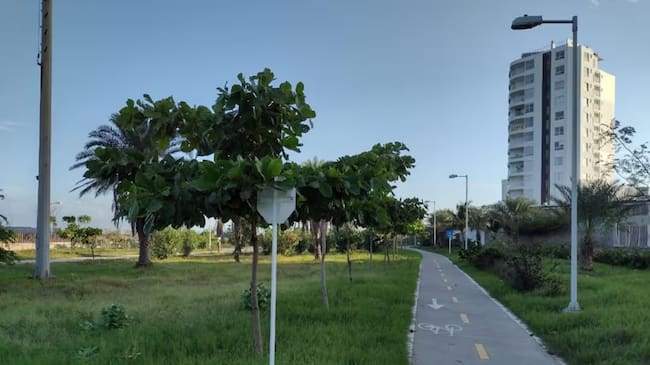 Parque Lineal de Crespo. // Archivo