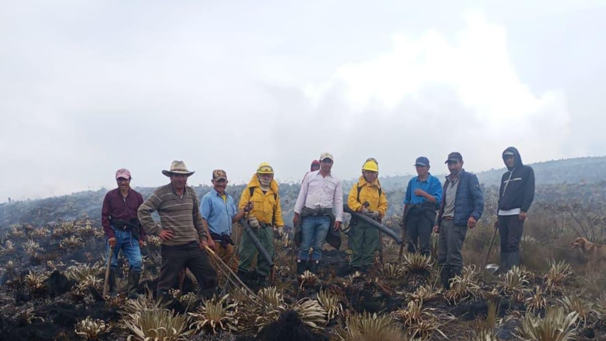 Gestión del Riesgo advierte que incendio donde murió una mujer en Boyacá, habría sido provocado