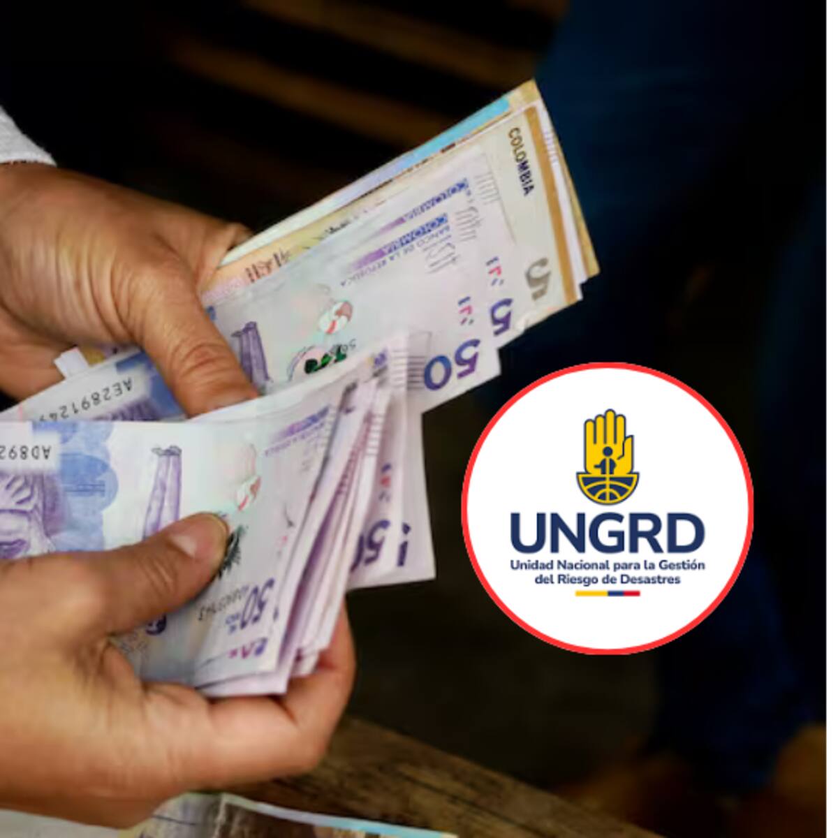 Inicia ciclo de pagos para Jefas y jefes cabeza de hogar de UNGRD: así puede saber si es beneficiario