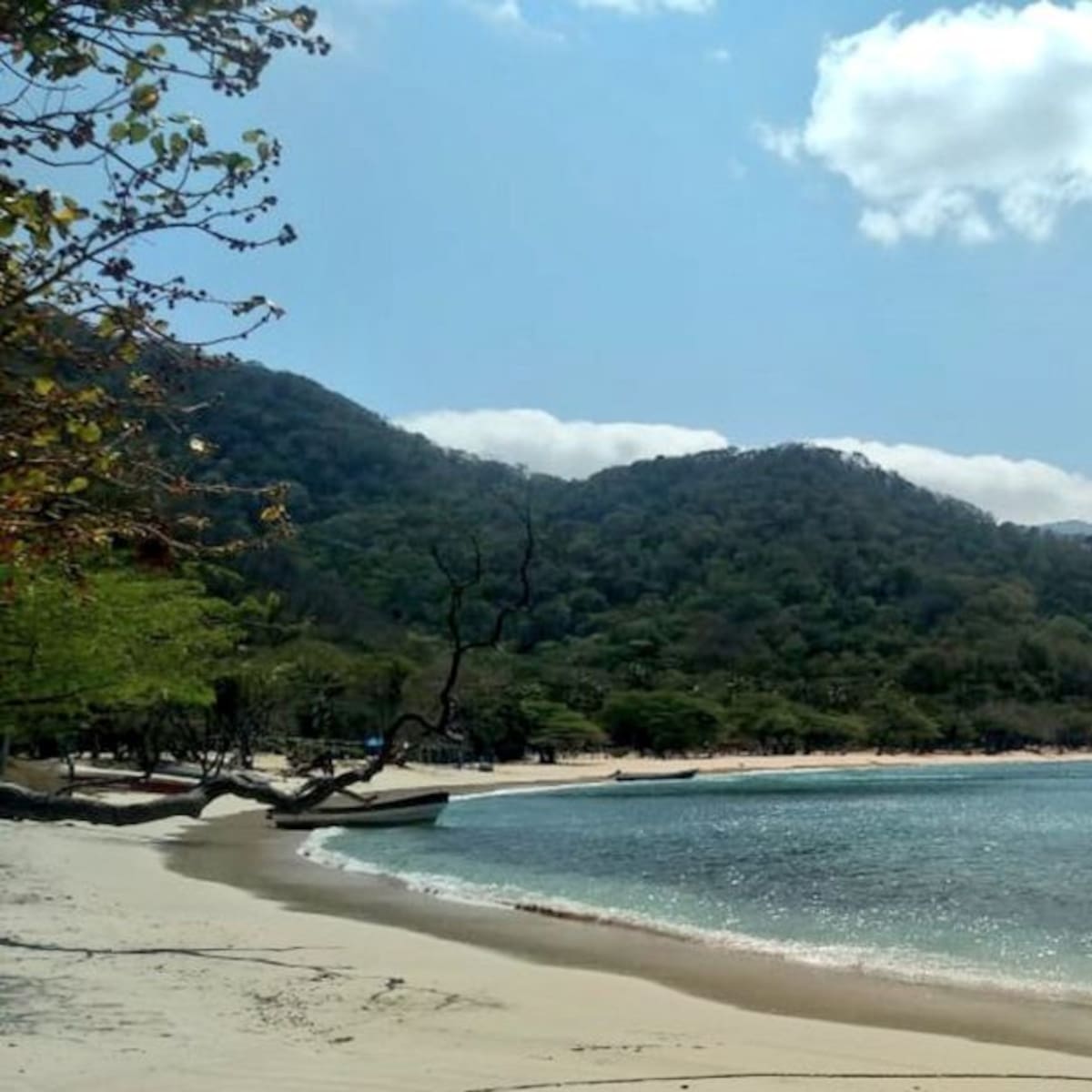 Parque Tayrona tendrá cierres temporales para frenar contagios de COVID-19