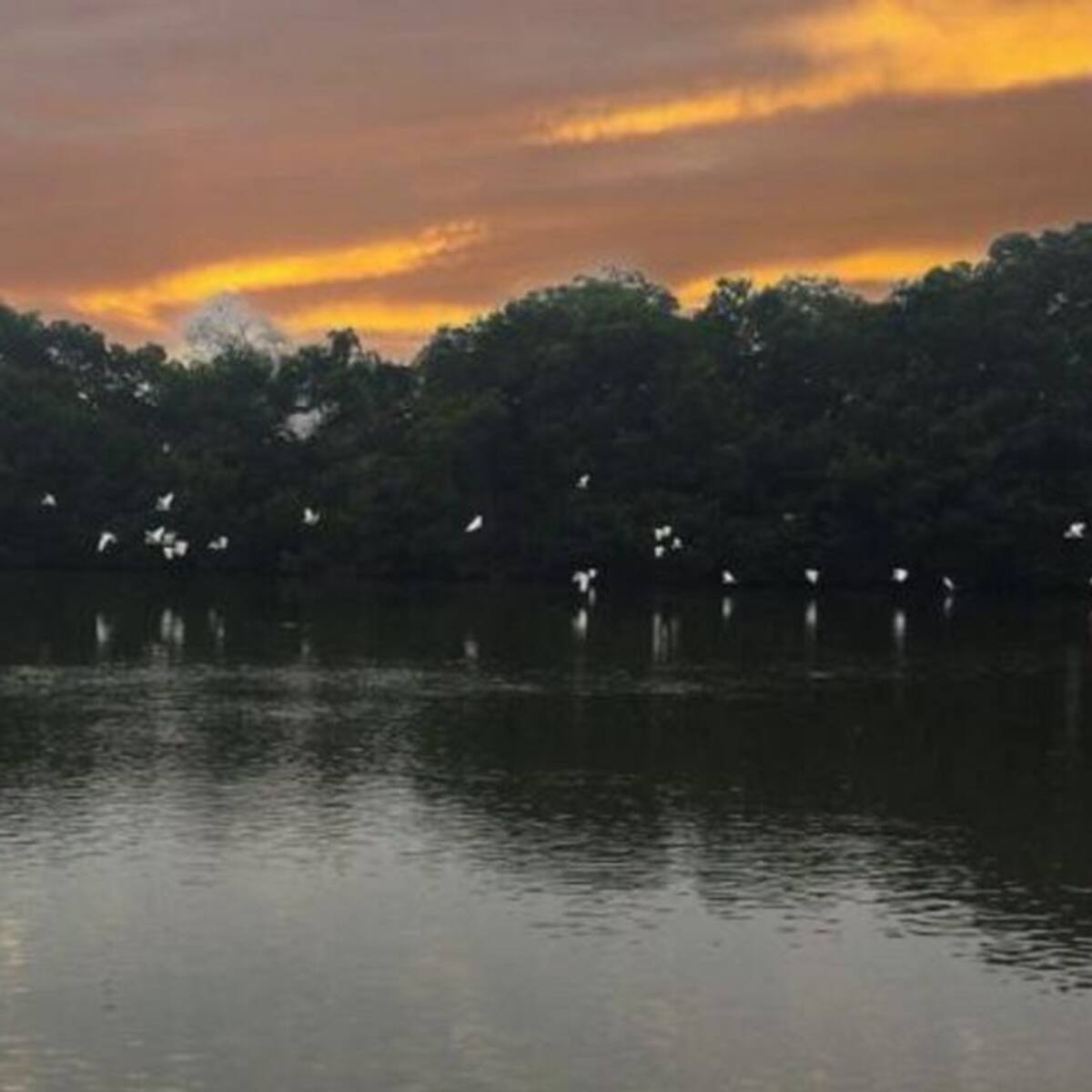 Pueblos palafitos de la Ciénaga Grande lanzan SOS por incendios forestales