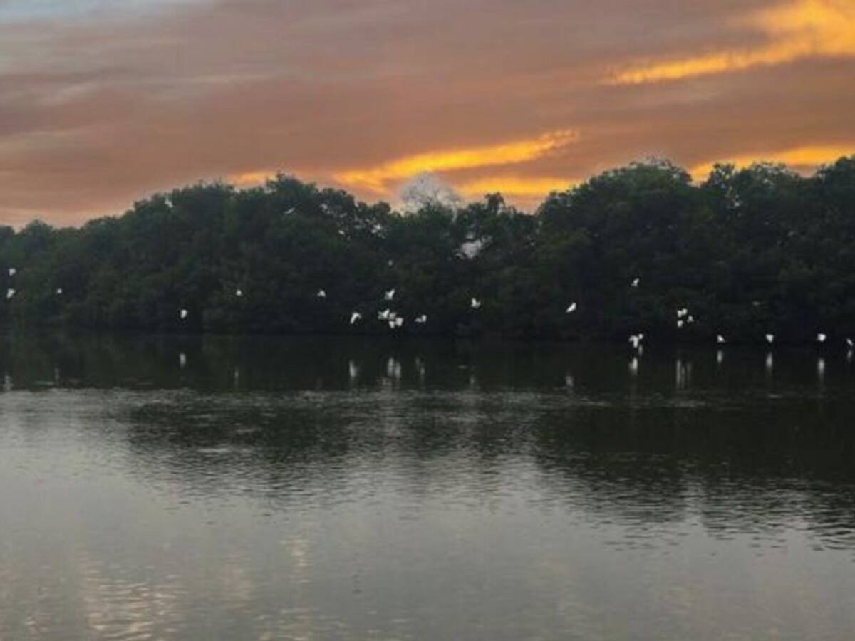 Pueblos palafitos de la Ciénaga Grande lanzan SOS por incendios forestales
