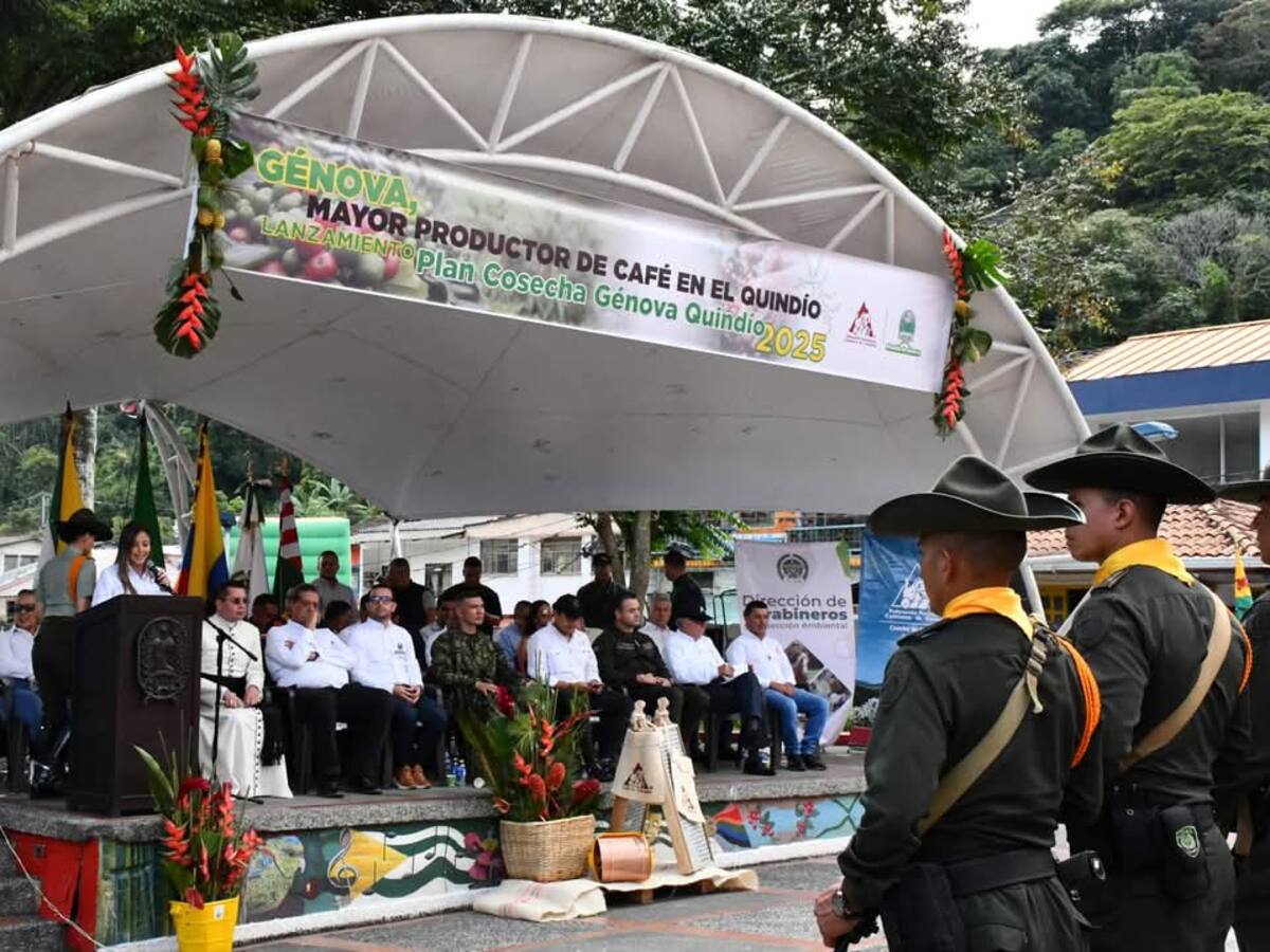 Plan cosecha en Quindío:cafeteros estiman producción del 52% de todo el año en este primer semestre