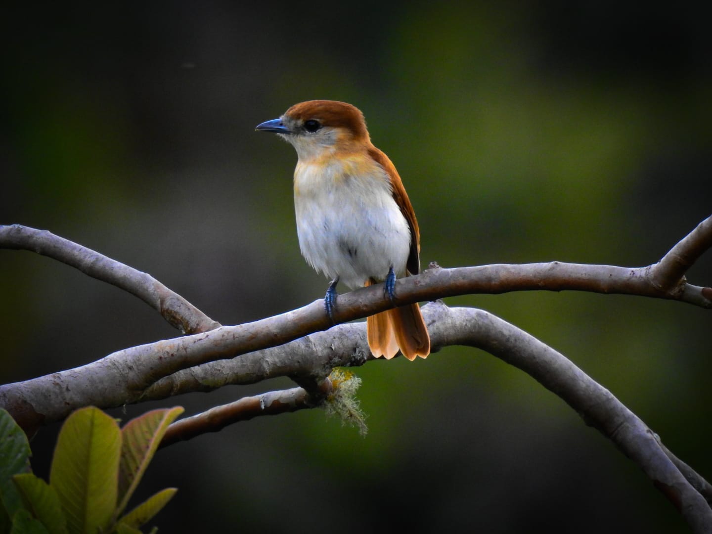 el uso responsable del espacio y la convivencia con la fauna silvestre. Foto Relacionada.