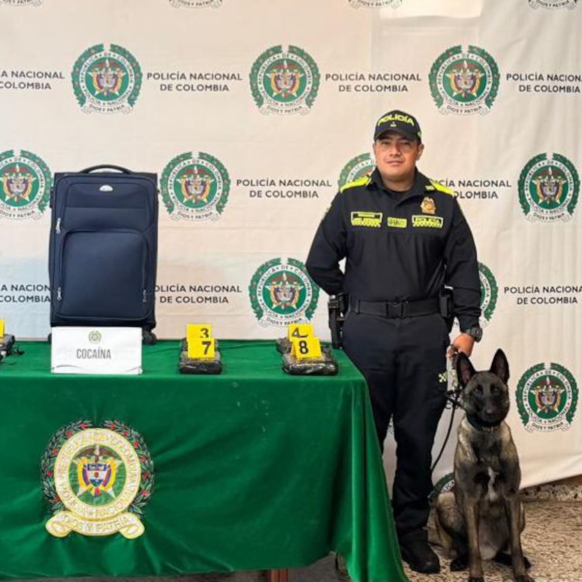 Abandonaron maleta con cocaína y GPS en el aeropuerto El Dorado de Bogotá: esto se sabe