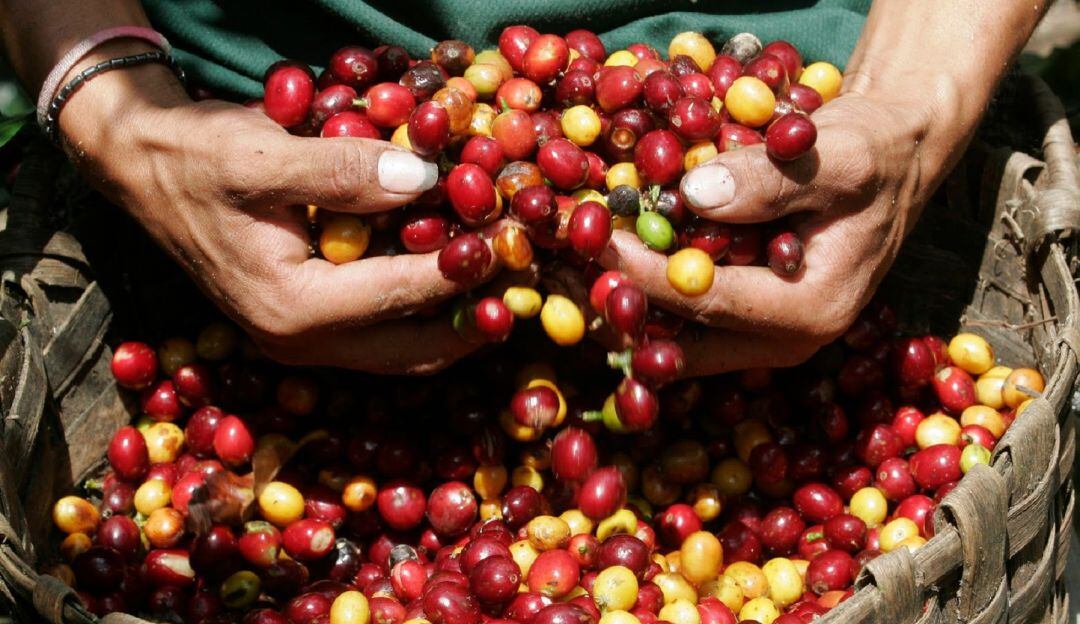 El nombre proviene del brazo grande del río Magdalena, y será el punto de encuentro para el agro y turismo cafetero. 