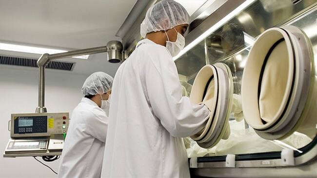 Imagen de referencia. Foto: Colprensa