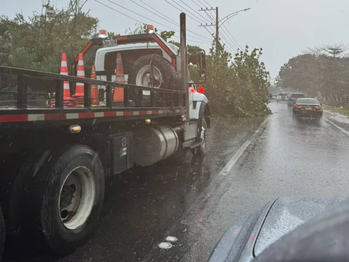 Vendaval provocó caídas de árboles, daños en viviendas y cortes de energía en Cartagena